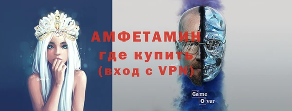 молекула духа Осташков