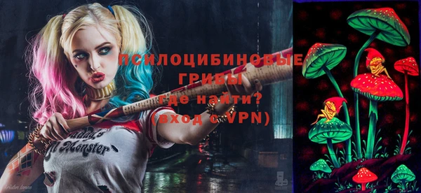 молекула духа Осташков