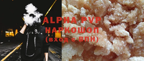 молекула духа Осташков