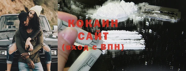 молекула духа Осташков