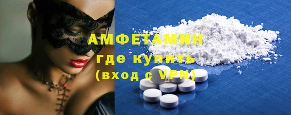 молекула духа Осташков