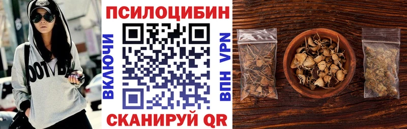 Псилоцибиновые грибы мицелий  Пучеж 